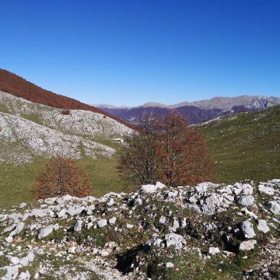 Img 20191027 114202