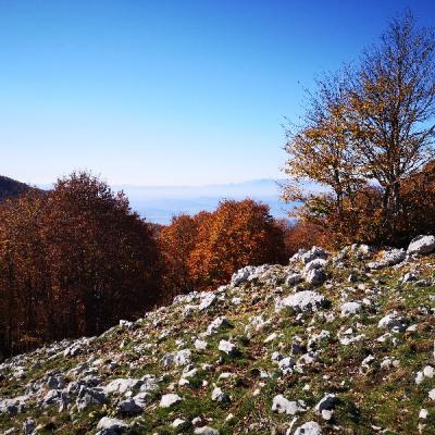 Img 20191027 114226