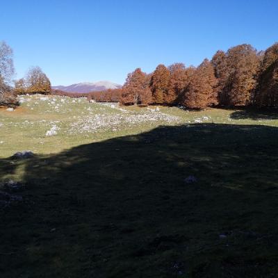 Img 20191027 120810