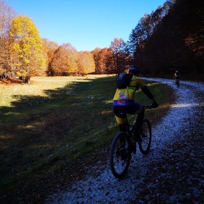 Img 20191027 121806
