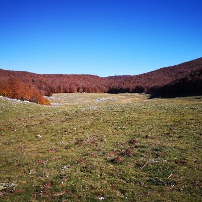 Img 20191027 122104