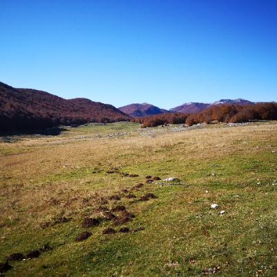 Img 20191027 122421