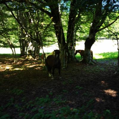 Img 20190630 095740