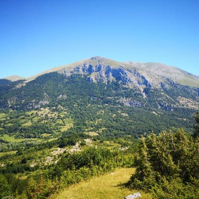 Img 20190630 105614