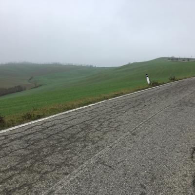 Img 4896