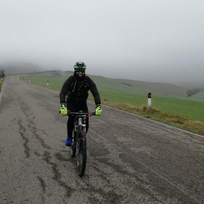 Img 4974