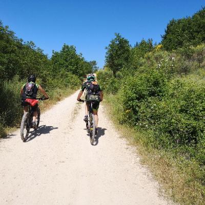 Img 20190616 103436