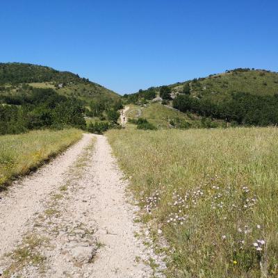 Img 20190616 103832