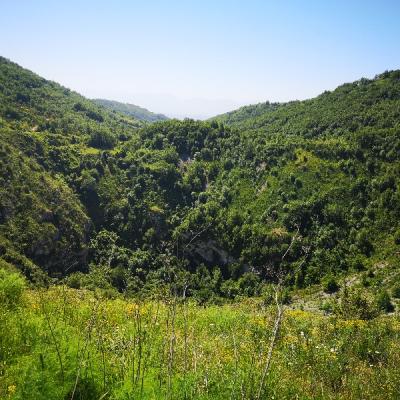 Img 20190616 104456