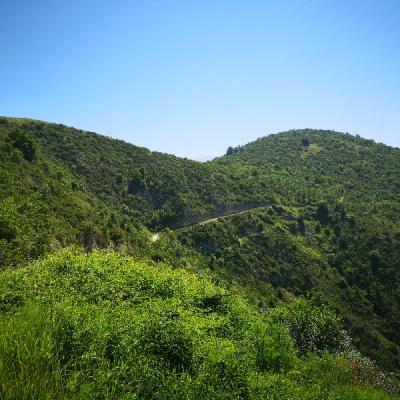 Img 20190616 104459
