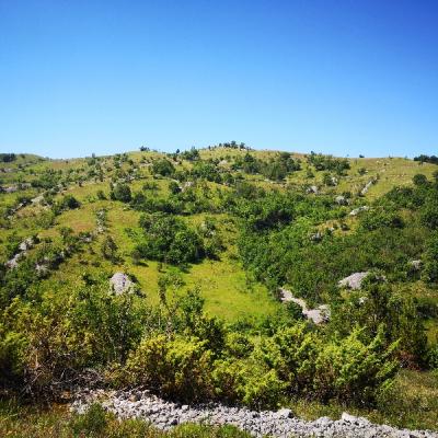 Img 20190616 105613
