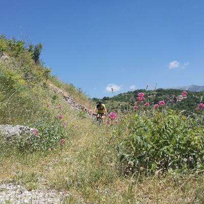 Img 20190616 114941